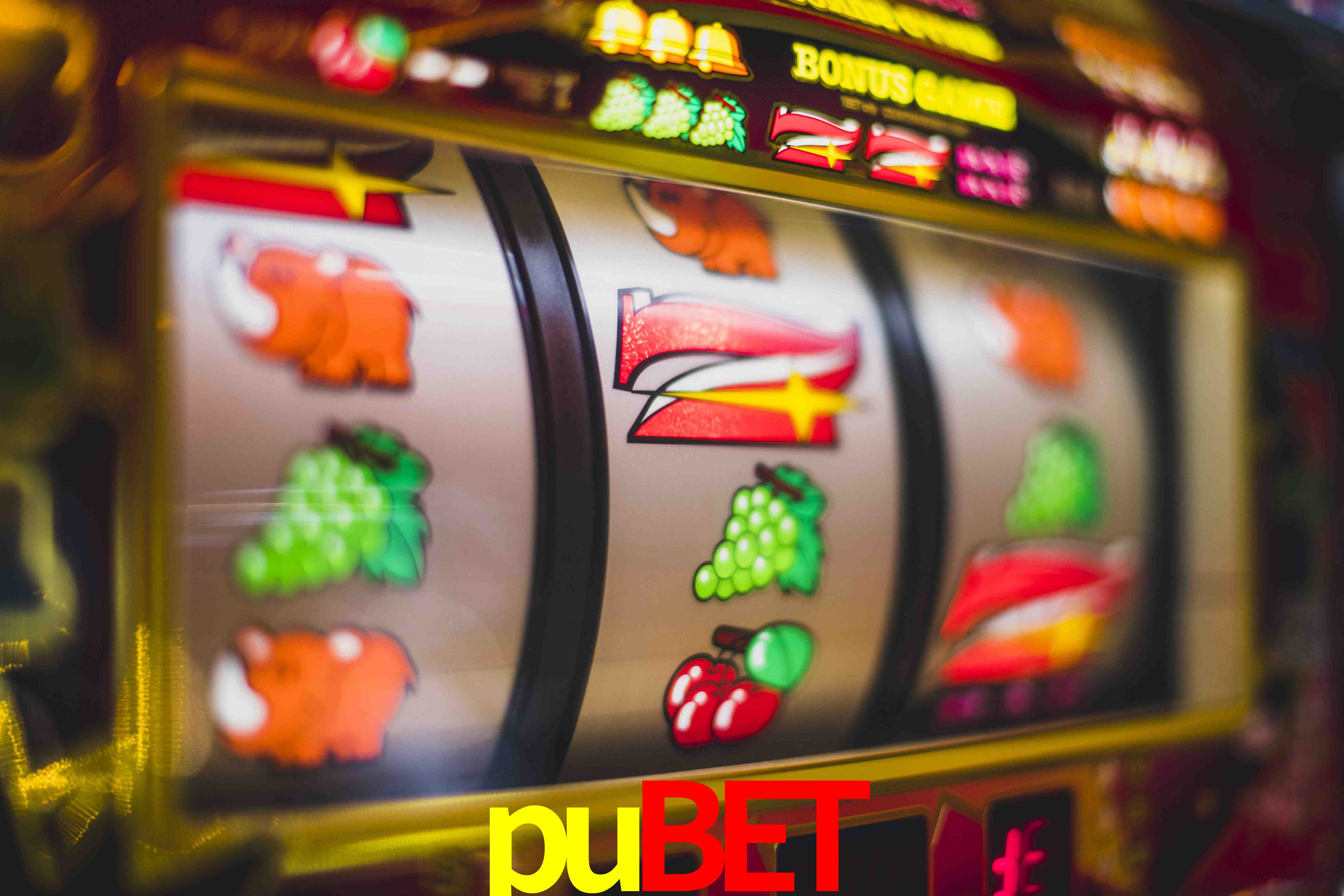 Football Betting pubet