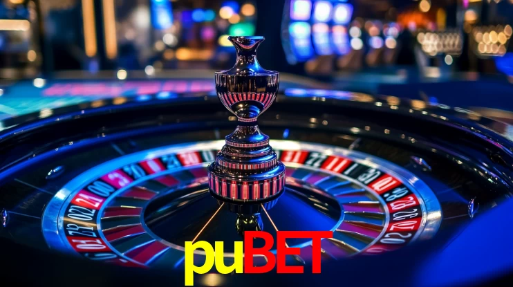 Premium Interface pubet