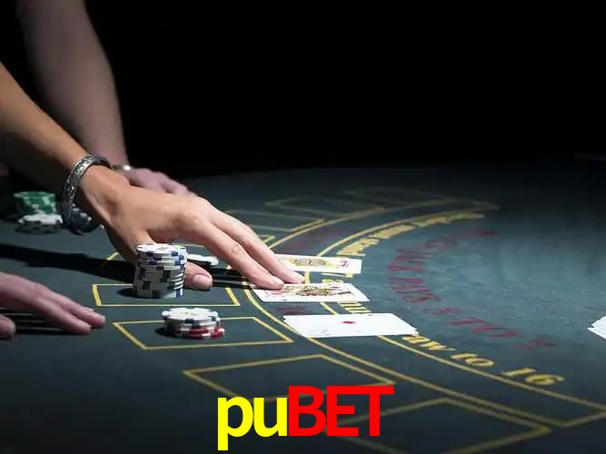 pubet Curitiba - Statistics
