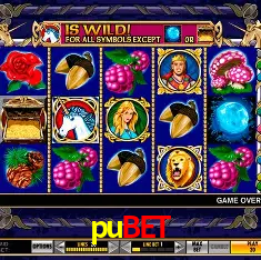 pubet Rio de Janeiro - Professional Dealers