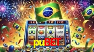 Secure Login pubet